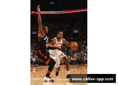 NBA篮球巨星：光环背后的生活与成就